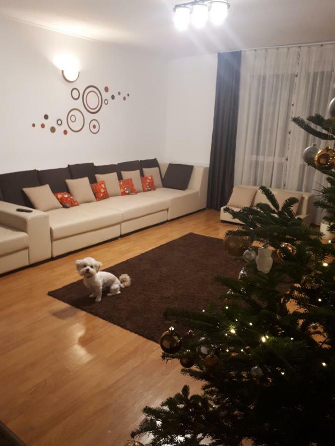 Casa Mais Braszów Zewnętrze zdjęcie