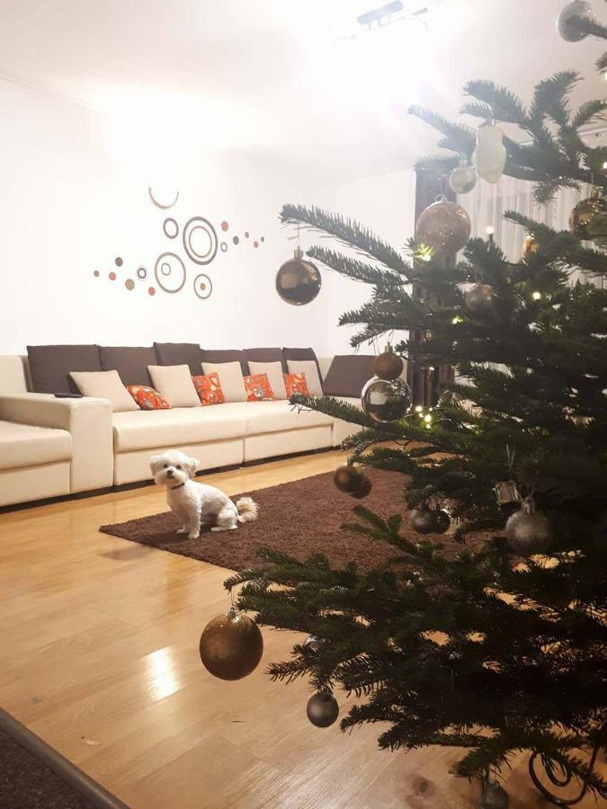 Casa Mais Braszów Zewnętrze zdjęcie