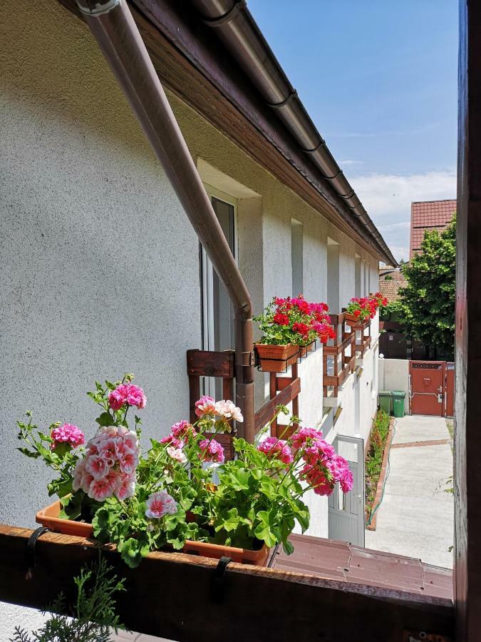Casa Mais Braszów Zewnętrze zdjęcie